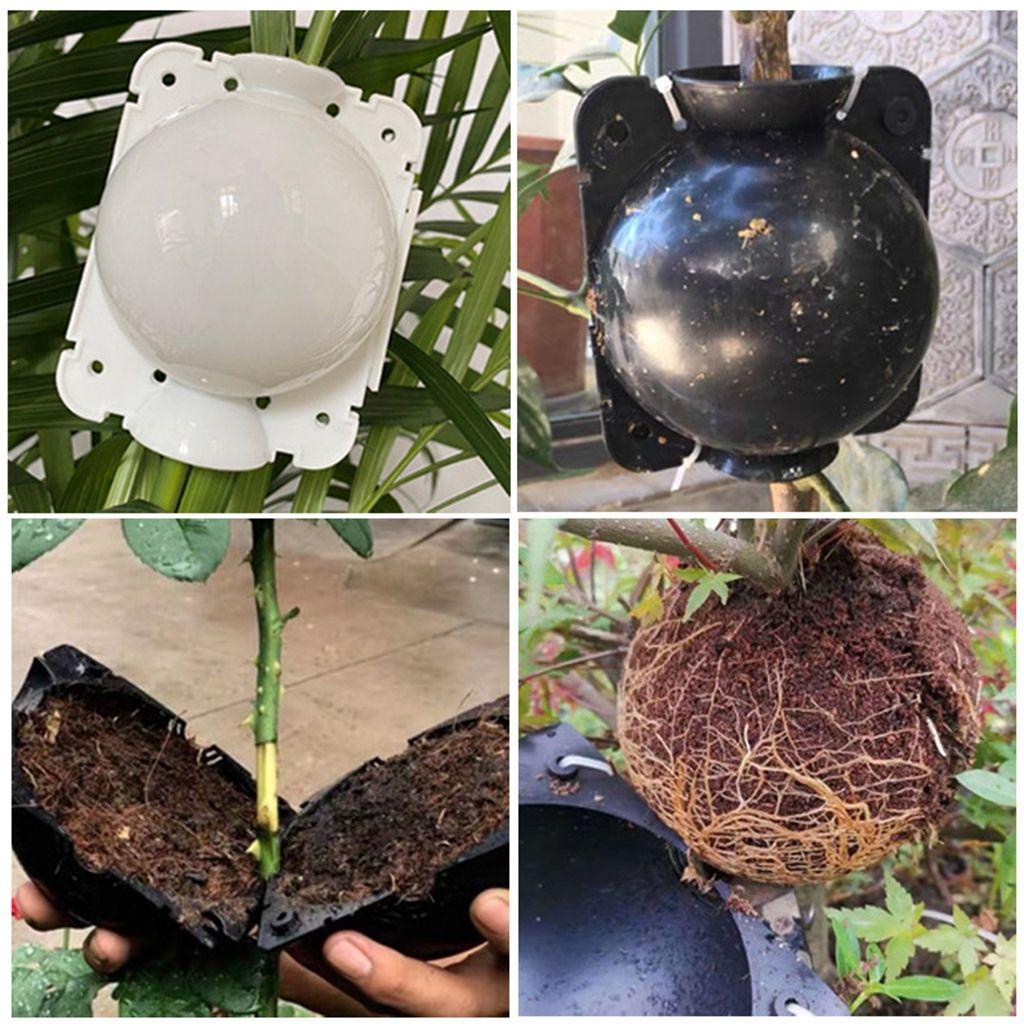 Set 10 Bóng Trồng Cây Chất Lượng Cao Có Thể Tái Sử Dụng
