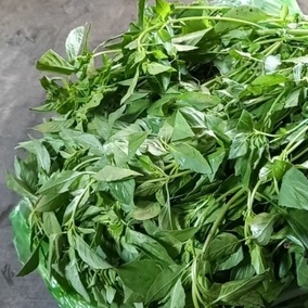 500 GAM MUỐI LÁ É MIỀN TRUNG