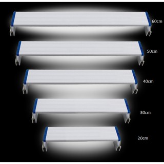 Đèn bể cá (20cm - 60cm)