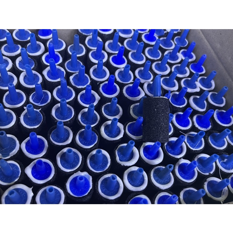 [Giá sỉ] 50 CỤC SỦI ĐEN LOẠI TỐT CHO CÁ CẢNH