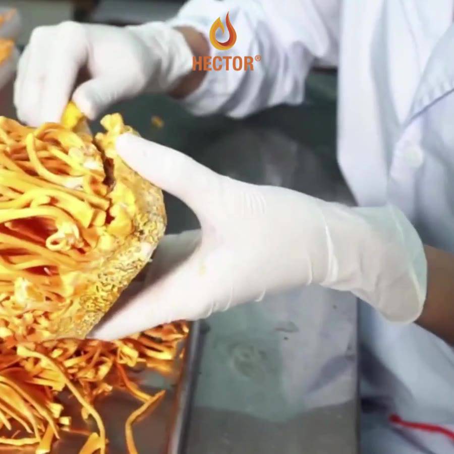 Nước uống collagen đông trùng hạ thảo Hector hộp 10 chai | BigBuy360 - bigbuy360.vn