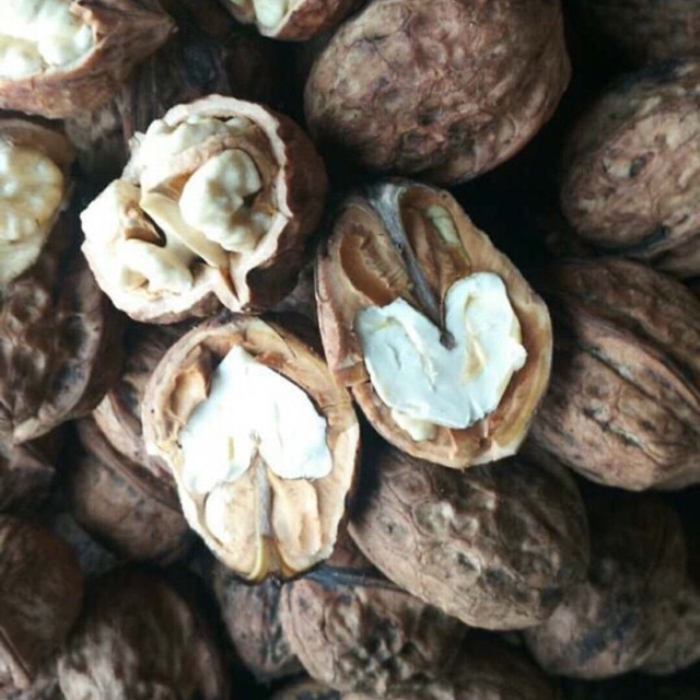 Óc chó tươi -kg