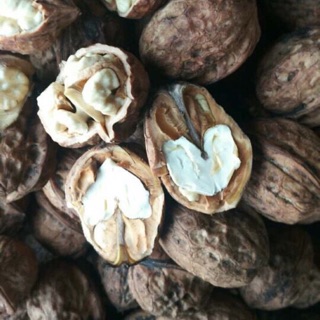 Óc chó tươi -kg