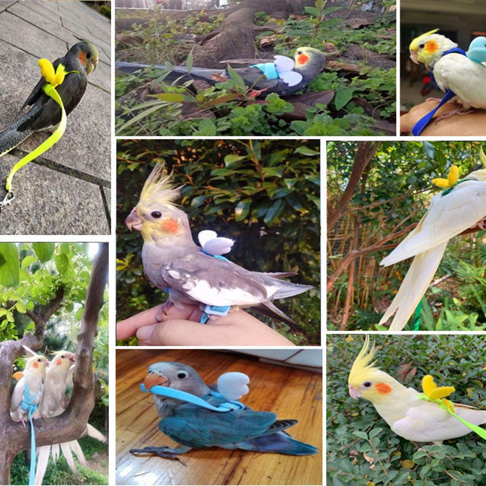 MIQUEL Dây Huấn Luyện Chim Chống Cắn Có Thể Điều Chỉnh Kích Cỡ