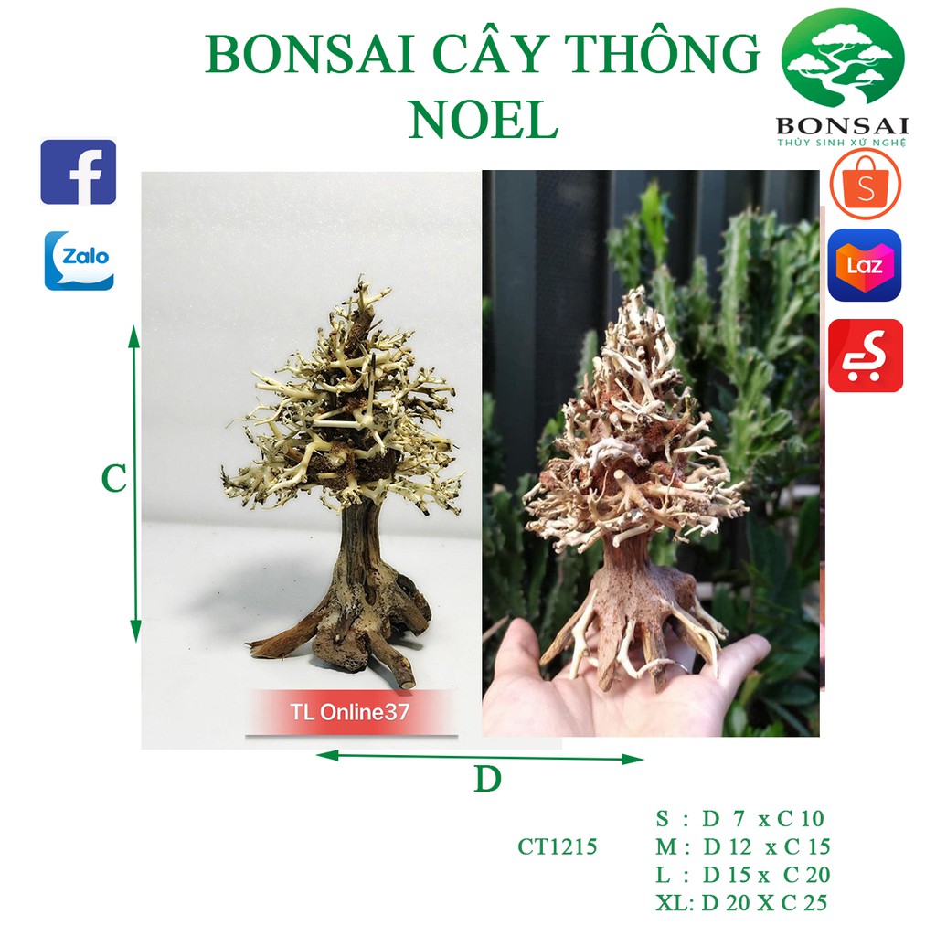 Lũa bonsai cây thông noel trang trí bể cá thuỷ sinh CT1215