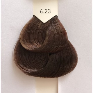 Thuốc nhuộm tóc màu nâu ánh đồng tối L'Oreal Majirel 6.23 50ml