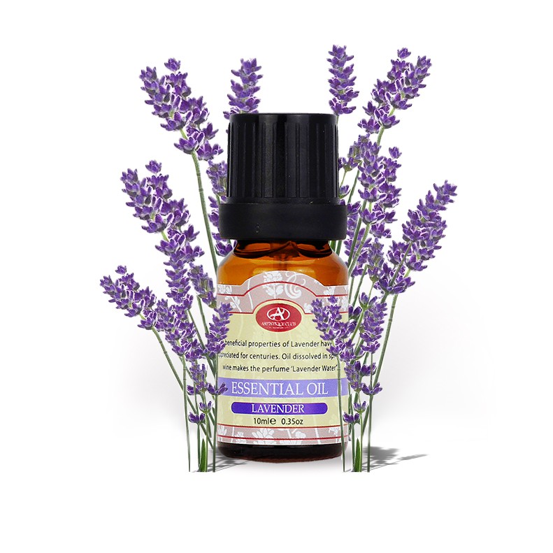 [ XẢ KHO ] Tinh dầu Oải Hương Lavender 10ml