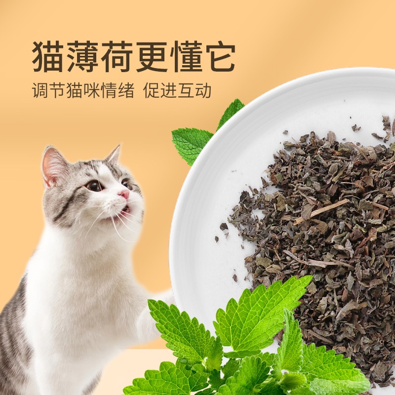 Túi canip cho mèo , bạc hà mèo chứa nhiều chất xơ, giúp cho mèo tiêu hóa thịt cũng như là xương cân bằng dinh dưỡng