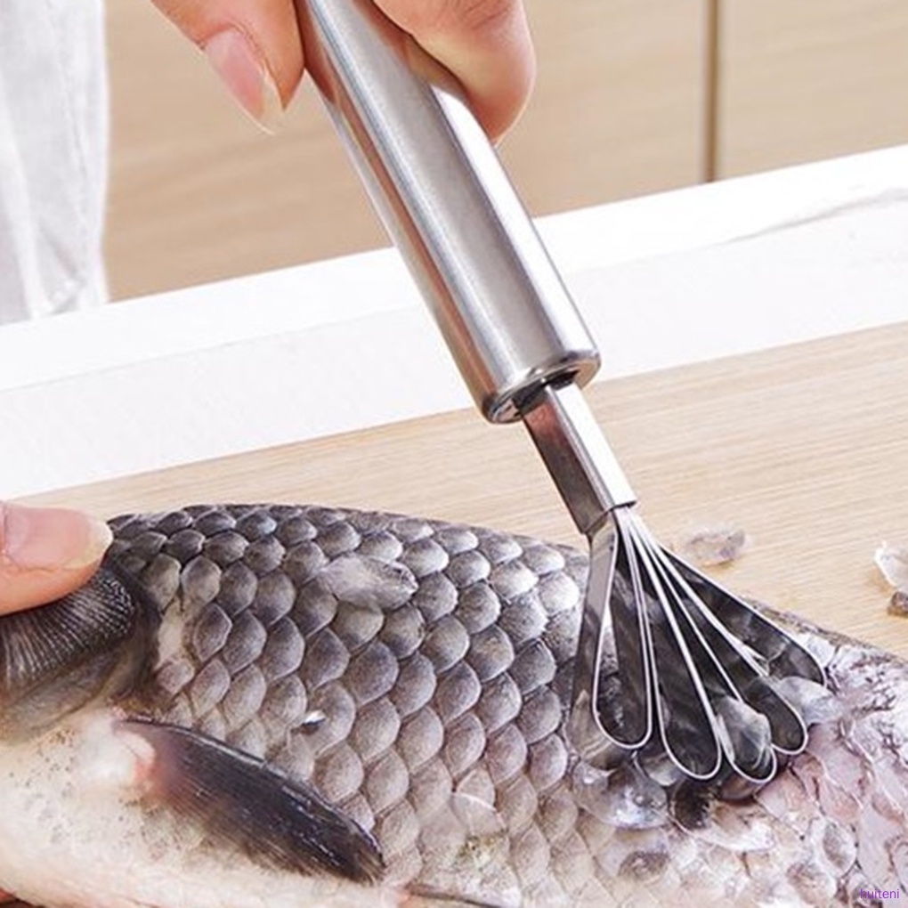 Dụng Cụ Đánh Vảy Cá Bằng Thép Không Gỉ