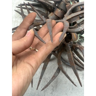 Cào dặm lúa 3 răng không cán