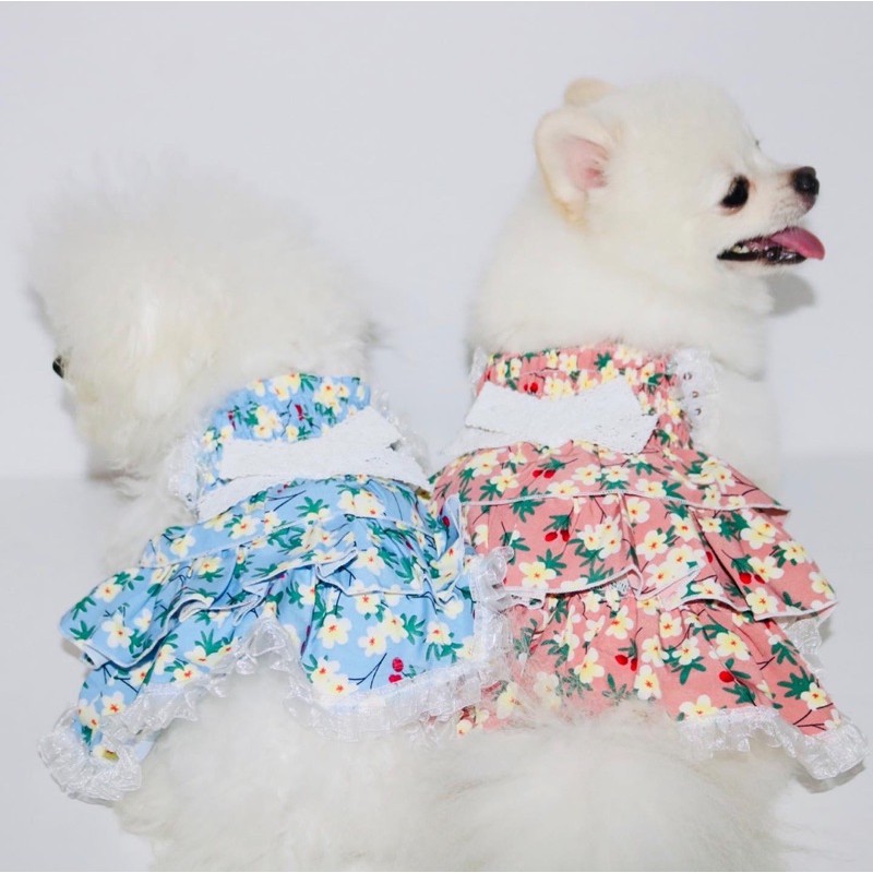 Đầm công chúa dễ thương cho thú cưng CARAPETS