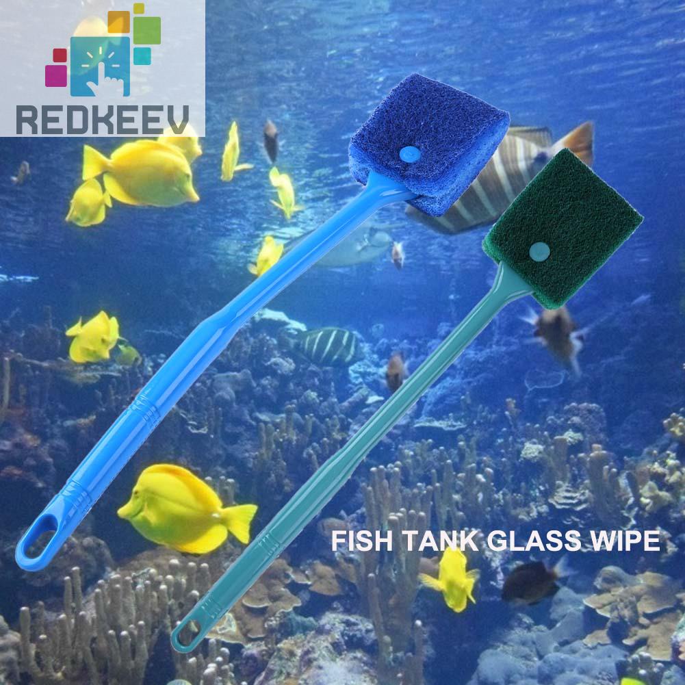 Cây lau kính bể cá cán dài tiện dụng