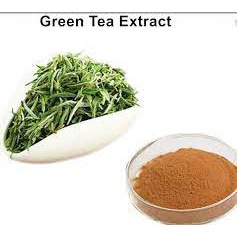 Bột Chiết xuất trà xanh - Green Tea Extract Powder