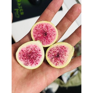 (MUA 1 TẶNG 1) 125G QUẢ SUNG SẤY KHÔ