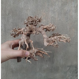 Lũa gỗ bonsai cỡ vừa trang trí bể cá