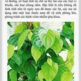 Dung dịch vệ sinh phụ nữ