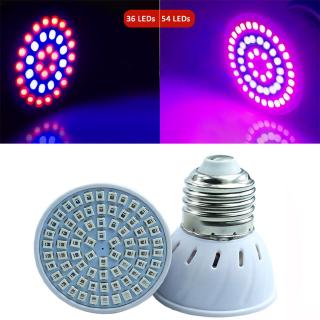 Đèn LED trồng cây E27 / GU10 / MR16