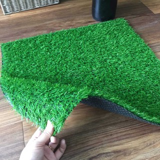 [ 0.5M x 0.5M ] Tấm cỏ nhựa - Thảm cỏ nhân tạo cao cấp đế dày