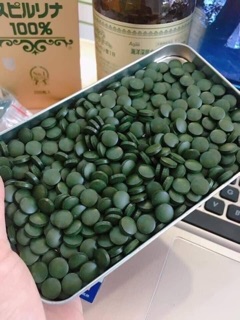 Tảo xoắn Spirulina