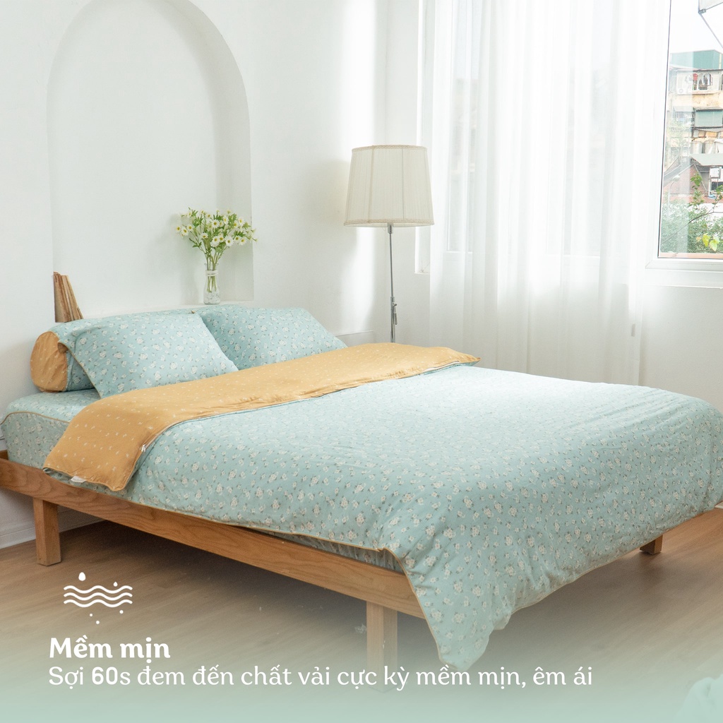 Bộ ga chun chần EVERON họa tiết Cúc họa mi MDSM2201