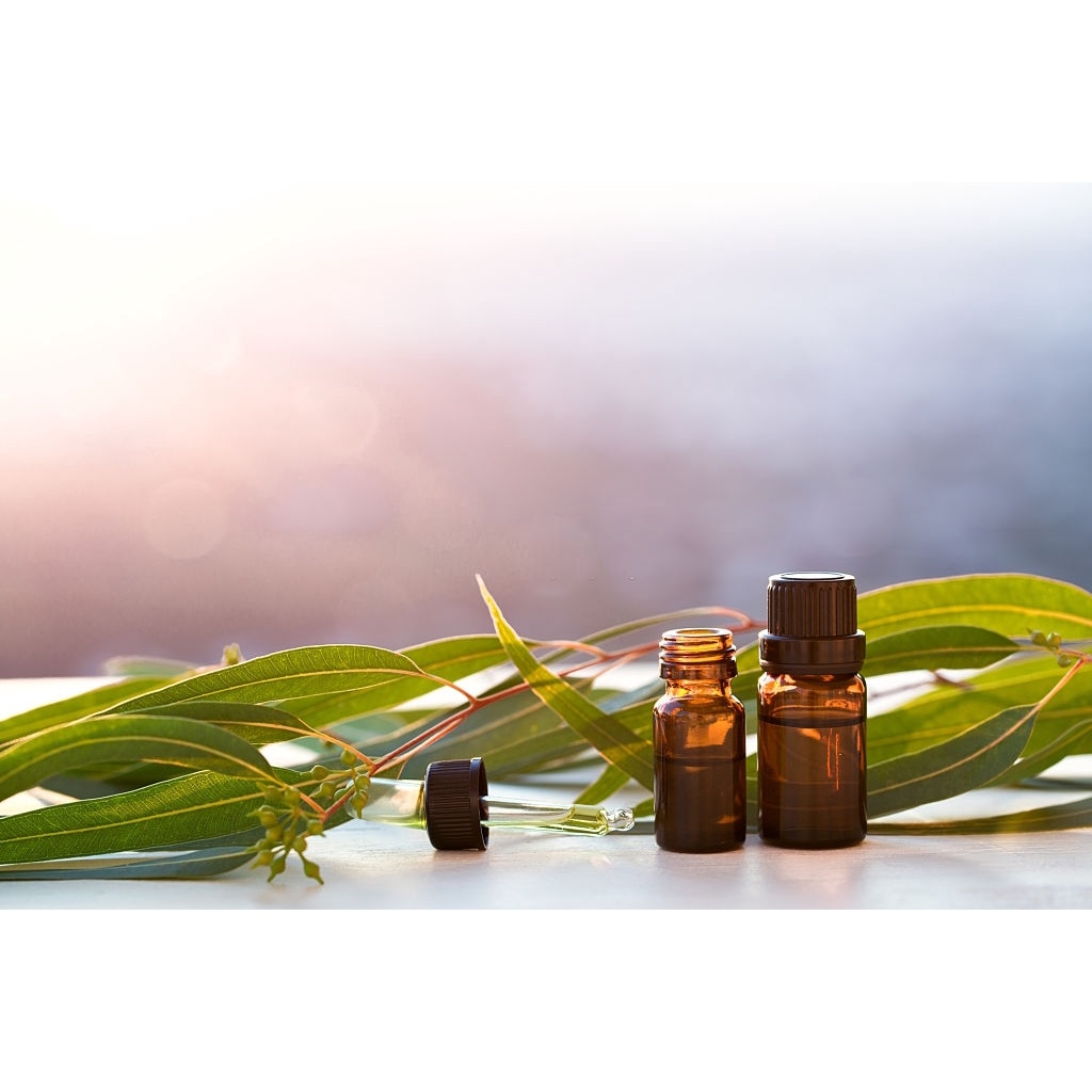 Tinh Dầu Bạch Đàn Chanh Organic  10ml