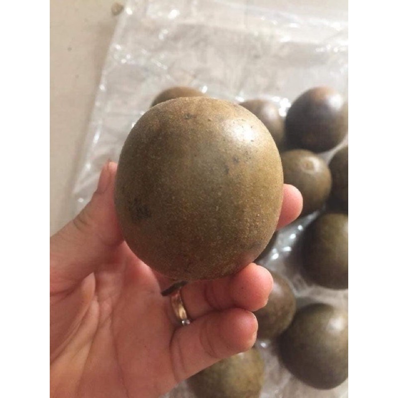 COMBO 10 Quả La Hán⚡ HÀNG LOẠI 1 ⚡ quả loại già- thơm - ngon | BigBuy360 - bigbuy360.vn