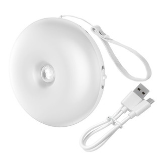 Đèn cảm ứng chuyển động thông minh Baseus Light Garden Series Intelligent