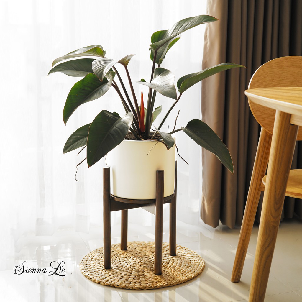 Chân Giá Đỡ Chậu Hoa Gỗ Cao Su Phong Cách Mid Century - Cao 40.6cm x Rộng 32.8cm - Phù Hợp Chậu Hoa Có Đường Kính 26.7cm