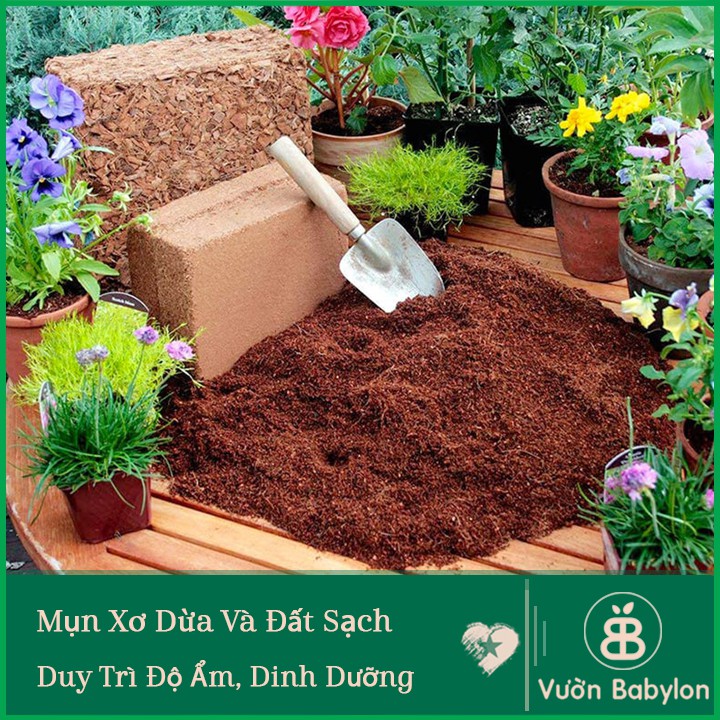 Mụn Xơ Dừa Đã Qua Xử Lý 5DM3 Giá Thể Mụn Dừa Trồng Cây