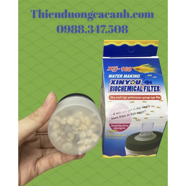 Lọc Vi Sinh Mini Hai Tầng XINYOU