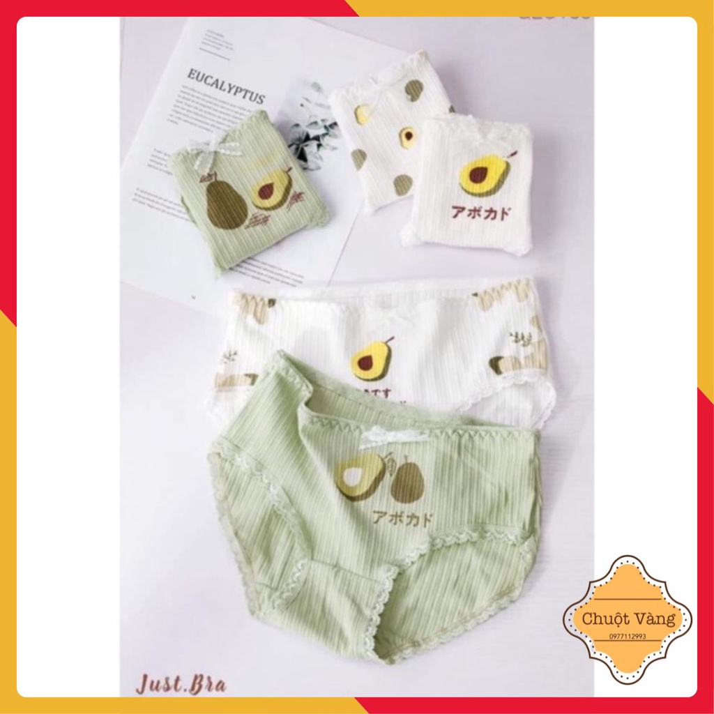 Set 10 quần lót cotton hình quả bơ