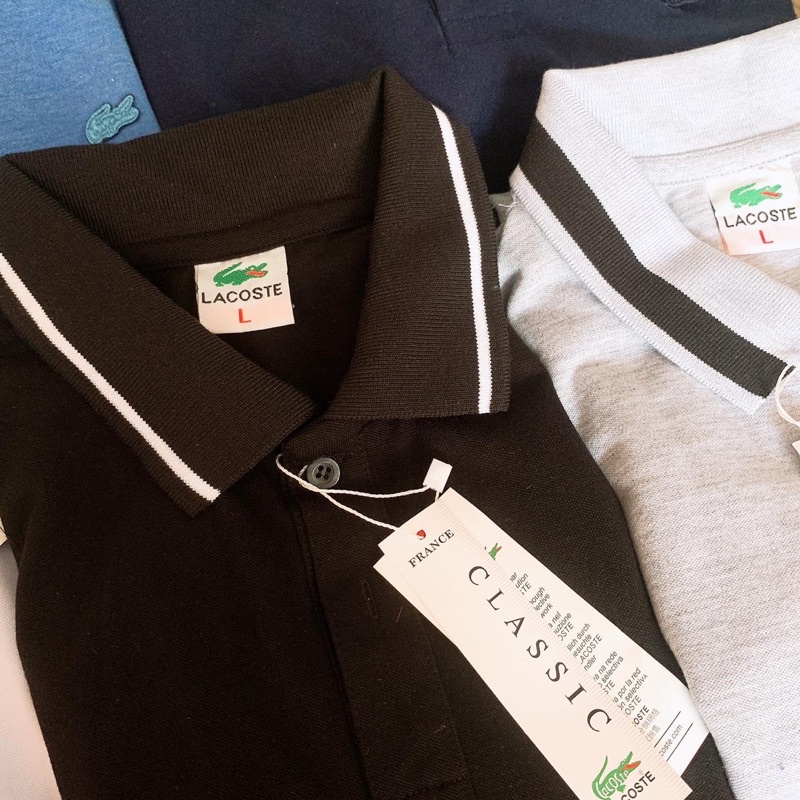  Áo thun nam cá sấu XK, thun mềm đẹp - form chuẩn | BigBuy360 - bigbuy360.vn