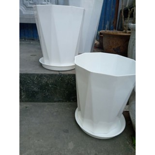 10 chậu tặng đĩa phi 25cm x30cm giá bất chấp