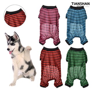 Đồ cho cún cưng thời trang mùa hè