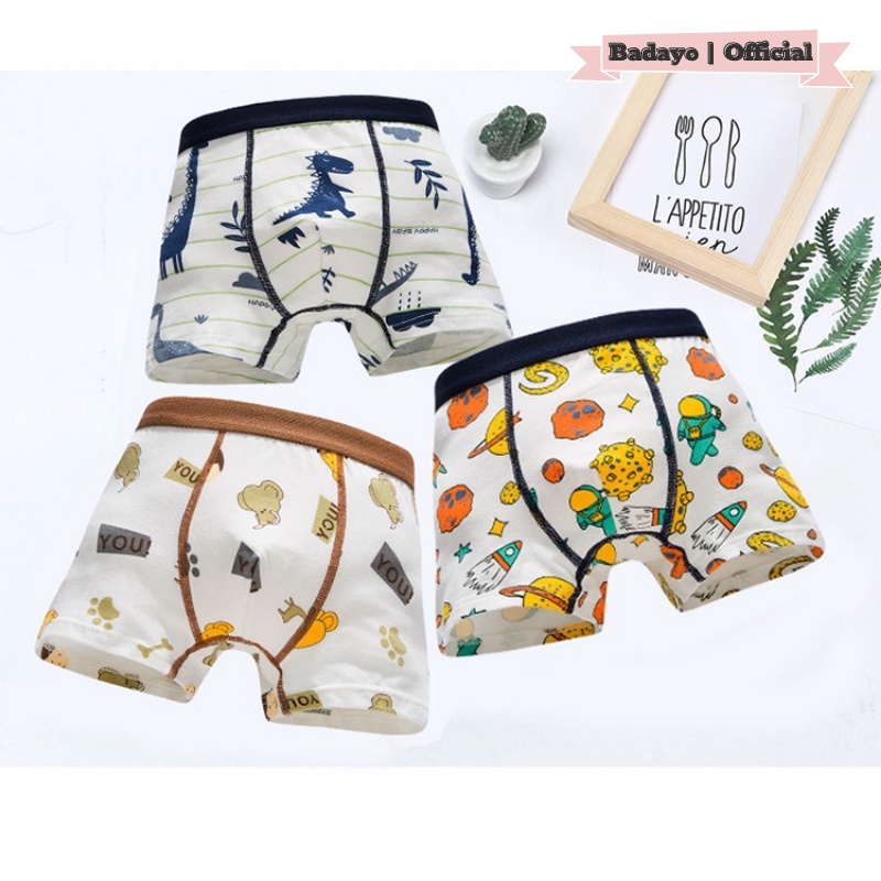 Combo 4 quần lót bé trai quần sịp đẹp cho trẻ em nam từ 6 đến trên 14 tuổi Badayo L2.002.NNXL