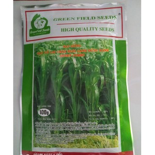 Cỏ Voi Lai Chăn Nuôi (100g), Hạt Giống Cỏ Voi