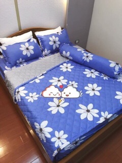 SET GA CHUN VÀ 2 VỎ GỐI
