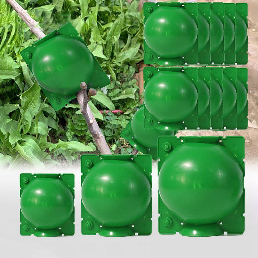 Set 10 Bóng Trồng Cây Chất Lượng Cao Có Thể Tái Sử Dụng