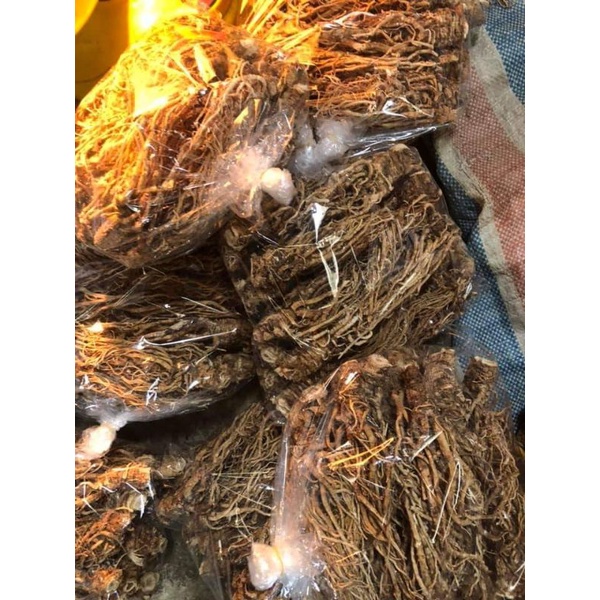 (GIÁ 1KG) Sâm đương quy hàng sấy mới thơm lức bổ máu