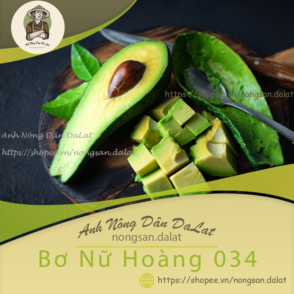 BƠ 034 - 1KG BƠ Nhà Trồng - Đặc Sản Bơ Lâm Đồng_Dẻo_Béo_Ngậy_ #bơ034