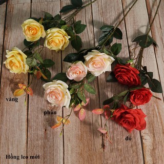 Hoa Giả Hoa Lụa 🌺FREESHIP🌺 Hoa Hồng Leo Giả Trang Trí