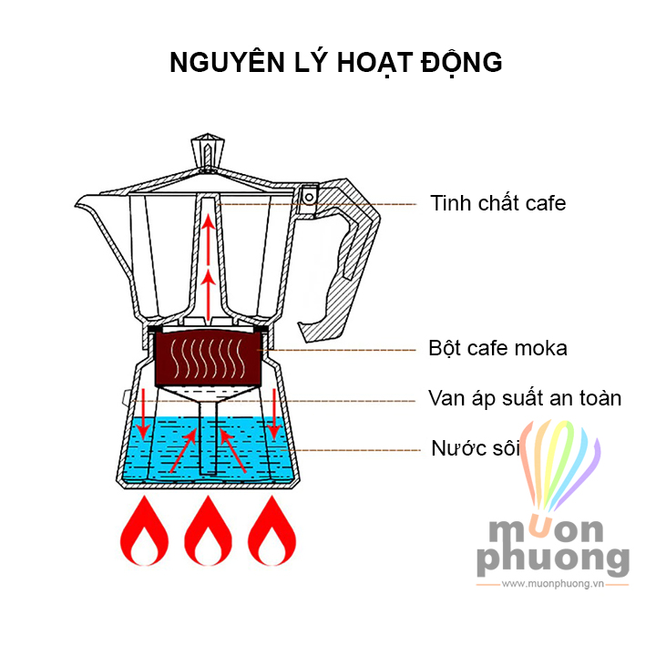 [FRSHIP20K] Bình pha cafe moka tay cầm gỗ kiểu dáng cổ điển châu Âu- MUÔN PHƯƠNG SHOP