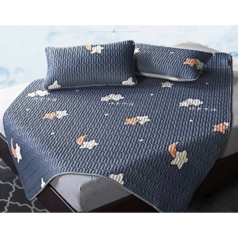 Chiếu điều hoà cao su non hoạ tiết 2D kích thước 1m8-2m hàng chuẩn loại 1 Xịn Decor