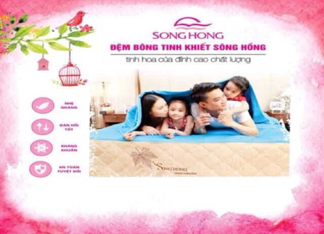 Đệm bông ép Sông Hồng 180*200*18 cm