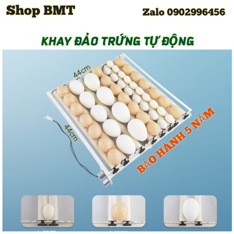 Khay đảo trứng ống lăn 220V (Không cần bộ điều khiển timer)