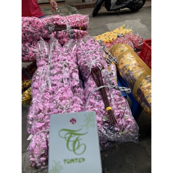 combo sỉ 100 cành hoa anh đào, hoa mai đủ màu