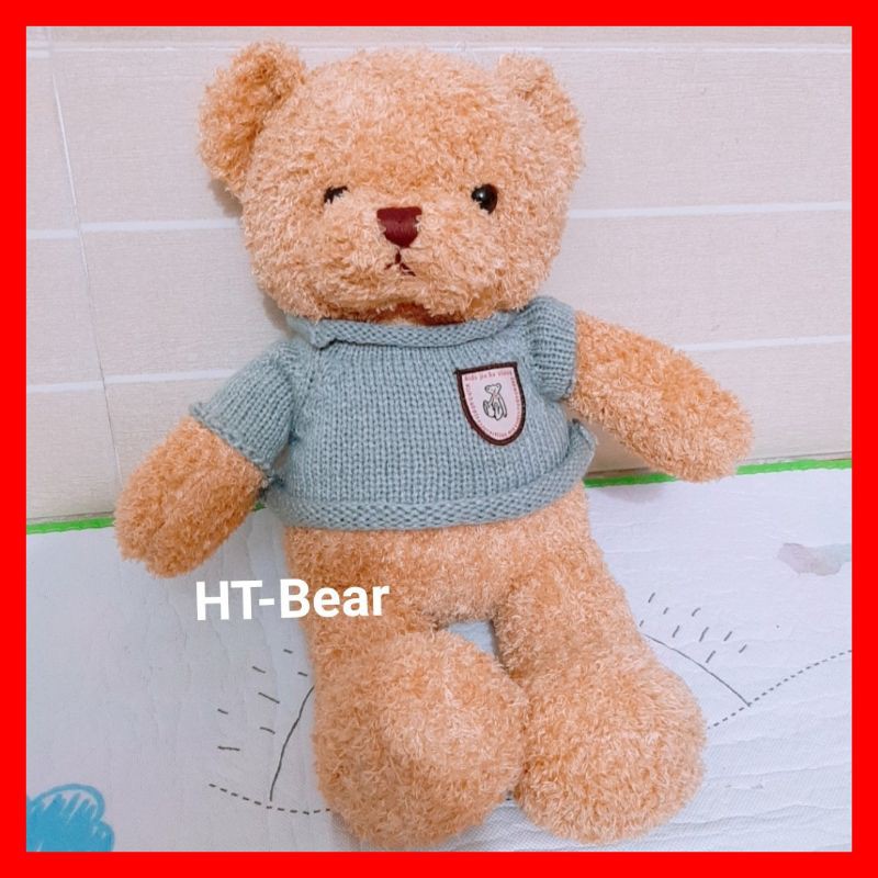 Gấu bông Teddy mặc áo len