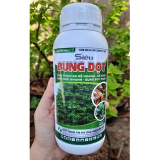 SIÊU BUNG ĐỌT, RA RỄ MAI VÀNG 500ML
