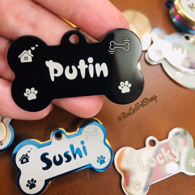 Thẻ tên cho thú cưng #PetTag tặng kèm vòng cổ siêu xinh