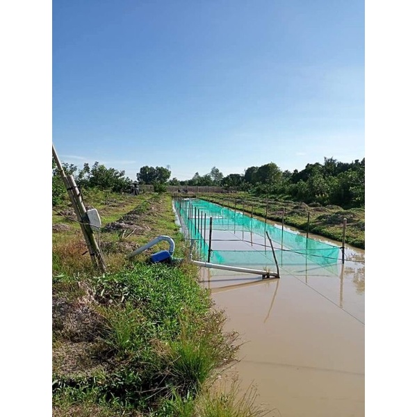 Tráng, vèo , lồng nuôi ốc nhồi , ếch , cá 6x3x1 ( 5li )